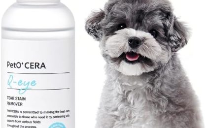 Coconut Oil to Remove Dog Tear Stains