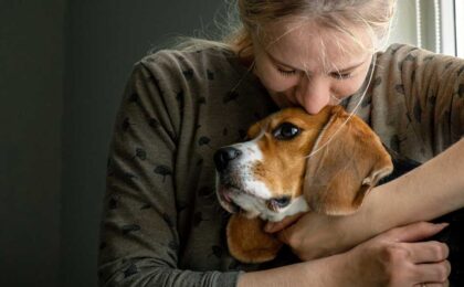 dog to be euthanized