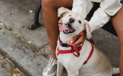 women loving dog