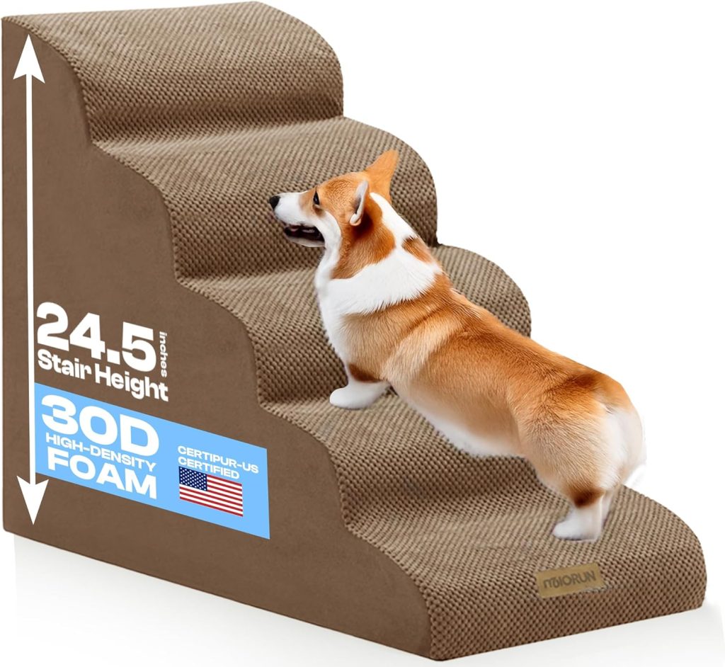 Dogs Go Down Stairs with Three Legs