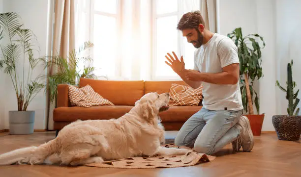 10 Methods to Control Aggressive Dog Behavior