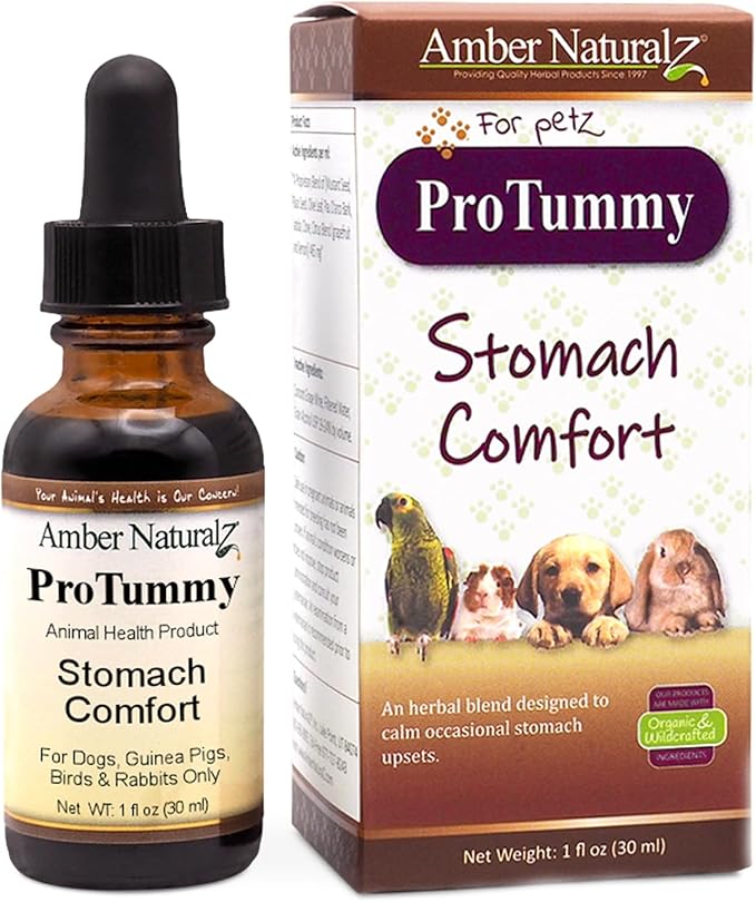 stomach cancer progress quickly