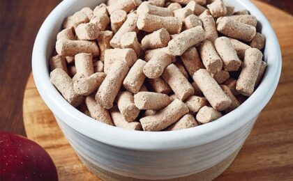freeze dried raw dog food