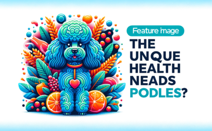 What Are the Unique Health Needs of Toy Poodles?