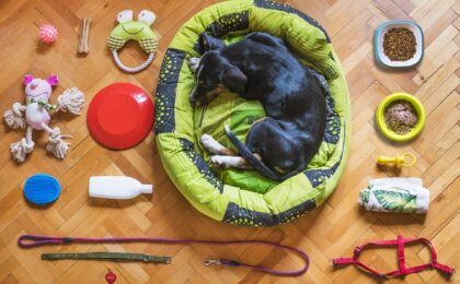 Pets Accessories