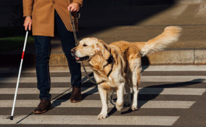 service dog training near me
