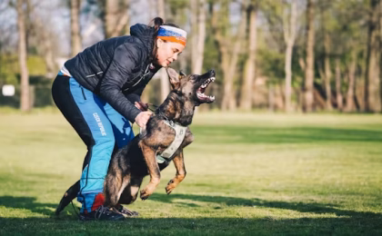 Service Dog Training
