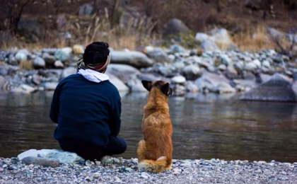 Where Can I Find the Best Obedience Training Near Me? 2025