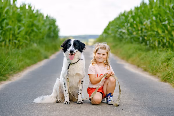 Future of Canine Well being