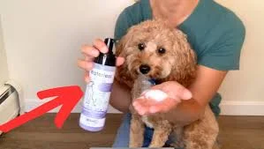 Wahl USA Dog Friendly Waterless No Rinse Shampoo ?
