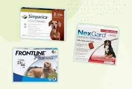 What is nexgard for dogs used for diarrhea ?Uses, Side-Effects, and Safe Alternatives