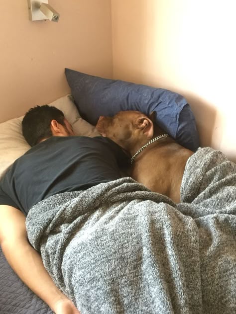 legal owner of dog: Understanding Your Rights and Responsibilities.