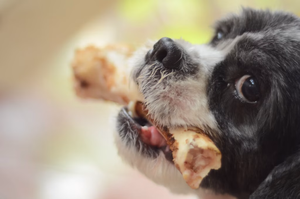 Chicken Dog Food: Benefits the Ultimate Guide 2025