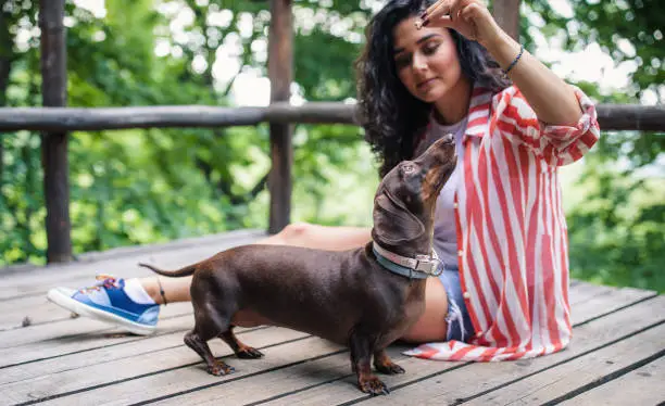 why dachshunds are the worst breed?