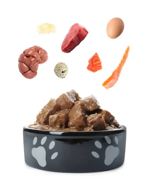 Science Diet Wet Dog Food