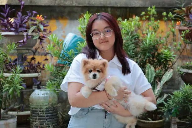 Dog Hair Dye