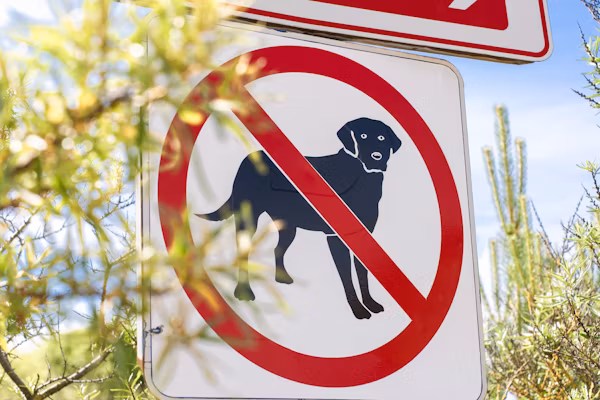 10 Signs Your Dog Needs to Be Neutered Complete Guide for Responsible Owners