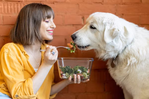 Life’s Abundance Dog Food Review (2024): An Honest Look at the MLM Pet Food