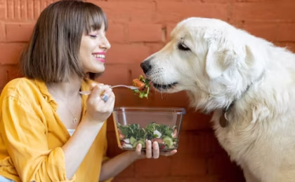 Science Diet Wet Dog Food
