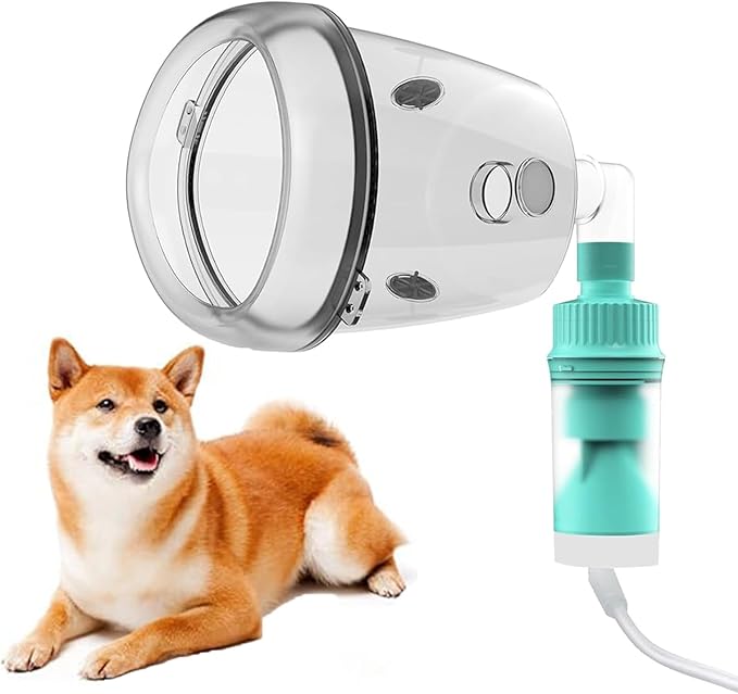 Dog Breathing Fast