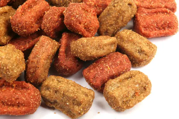 Nutra Nuggets Good Dog Food