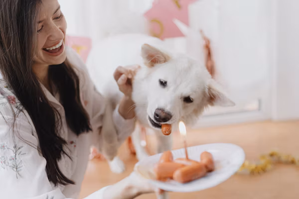 Chicken Free Dog Food