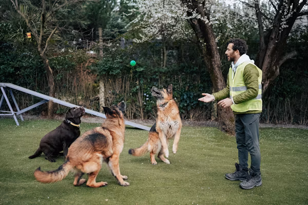 Dog Trainers for Resource Guarding