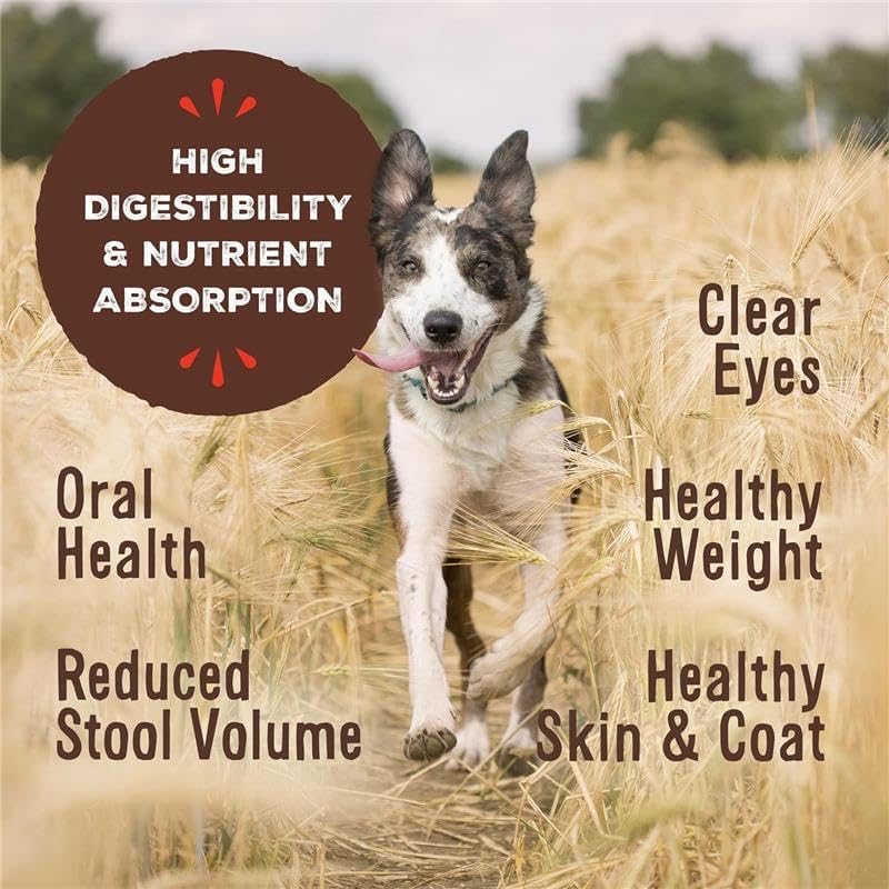Raw Dog Food Nuggets - Image 2