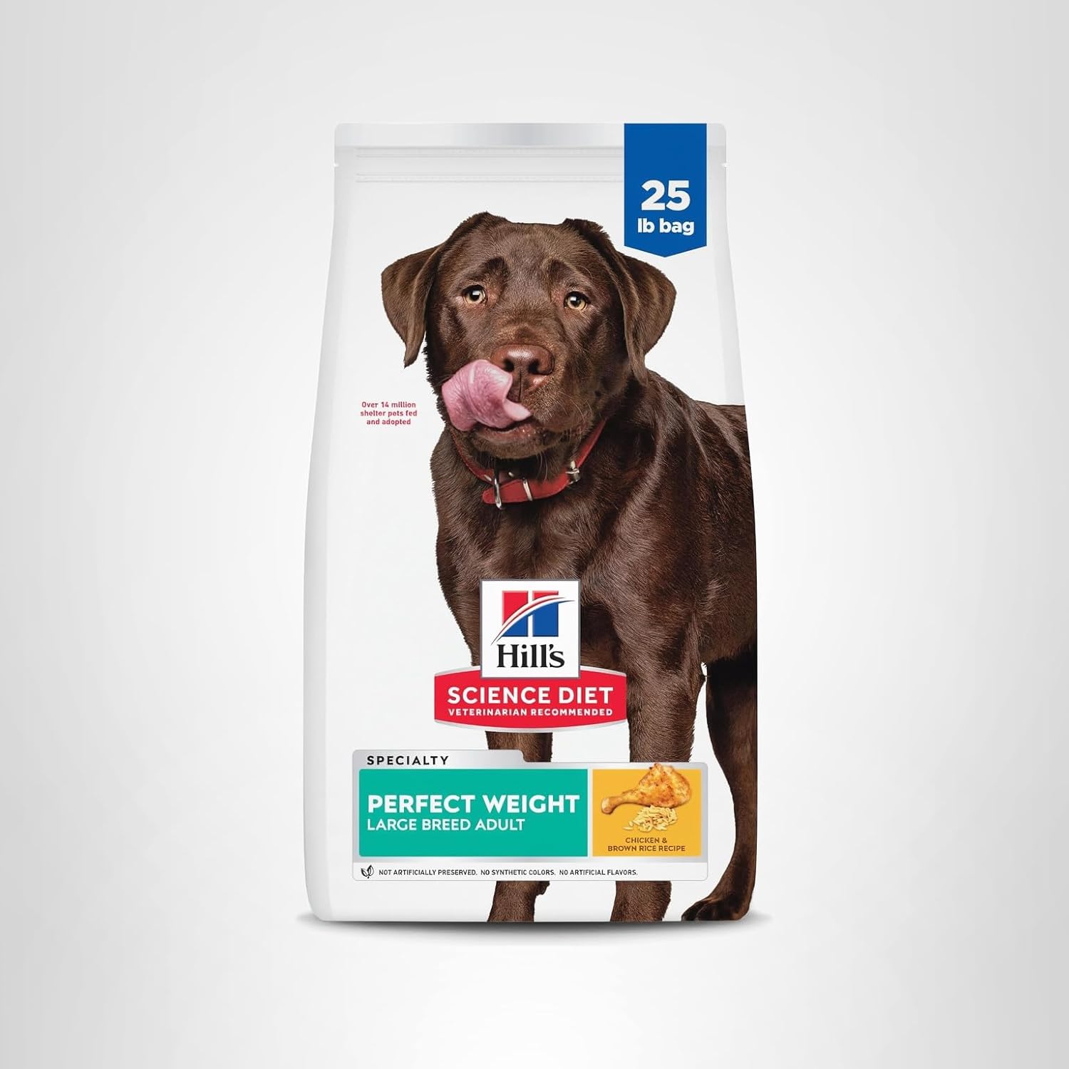 Large Breed Adult Dry Dog Food