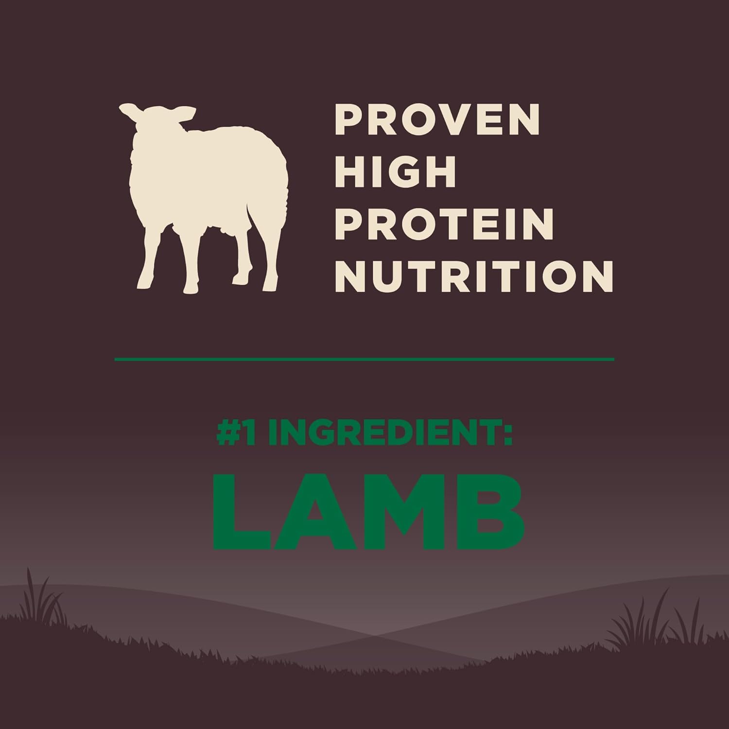 High Protein Lamb Recipe - Image 2