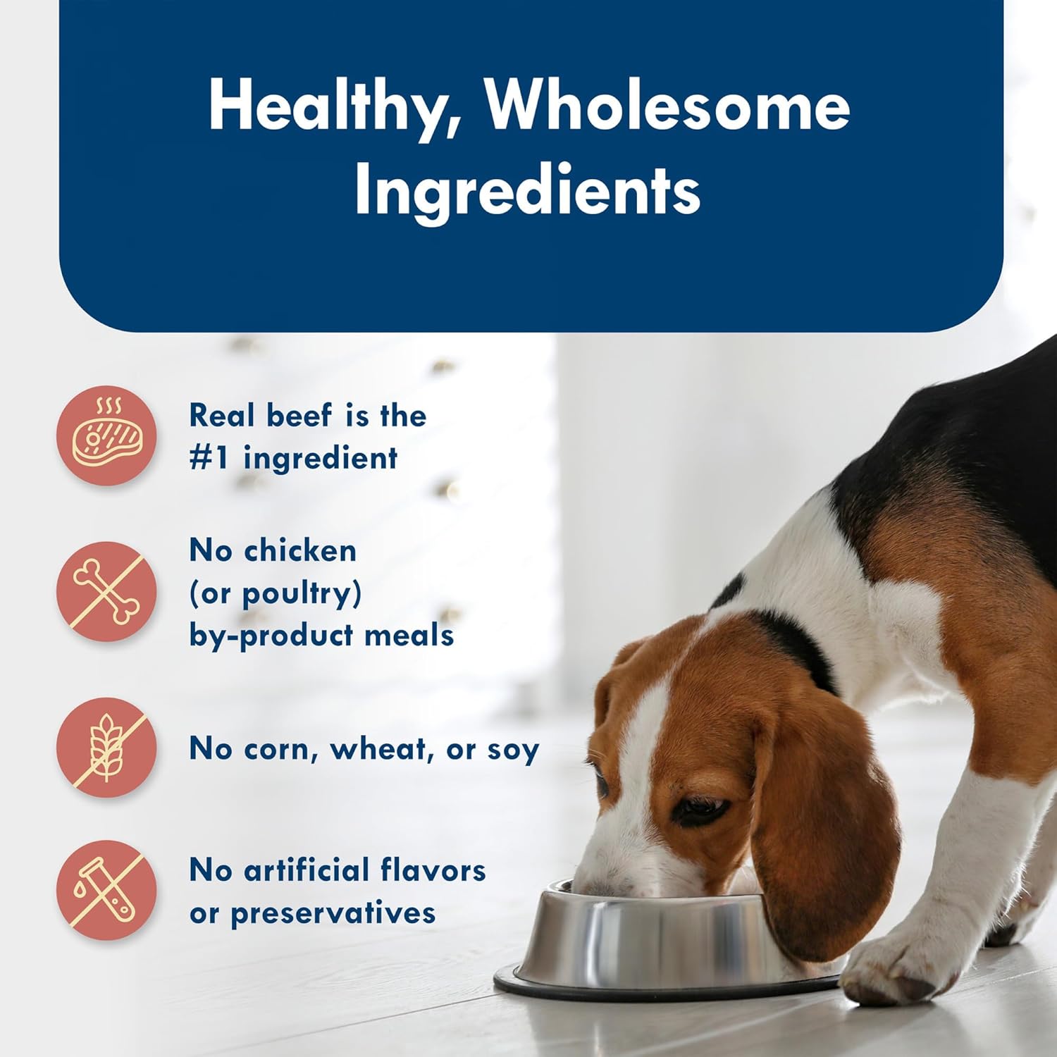 Prime Rib Wet Dog Food - Image 2