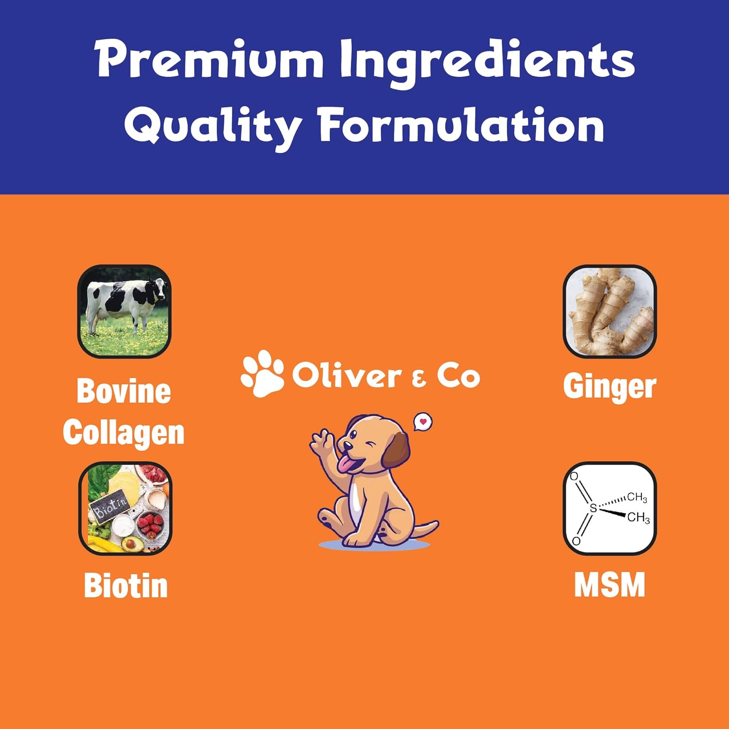 Bacon Dog Collagen 1 fl oz - Image 4