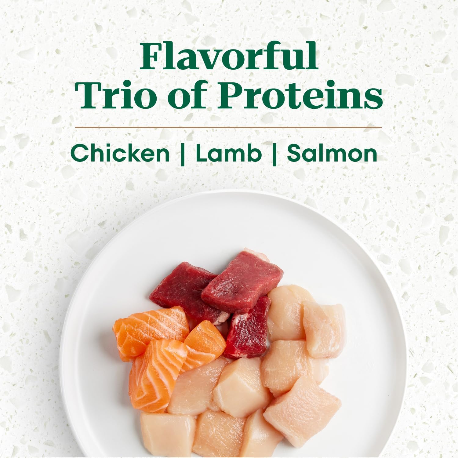 Adult Dry Dog Food - Image 8