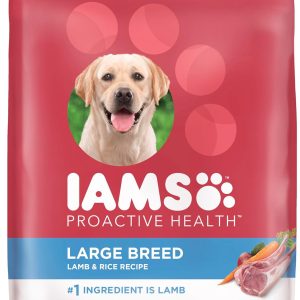Lamb & Rice Recipe dry dog food