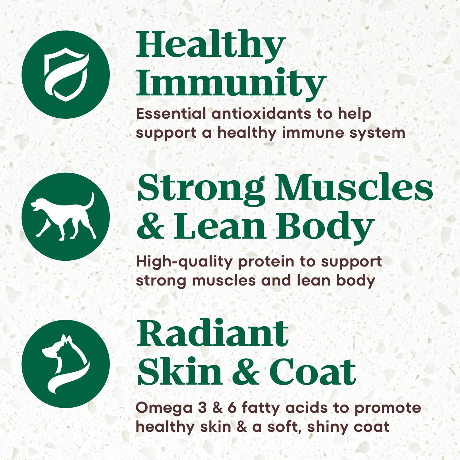 Adult Dry Dog Food - Image 3