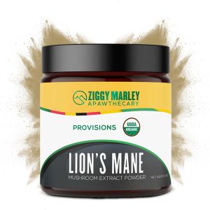 Lions Mane Mushroom Powder