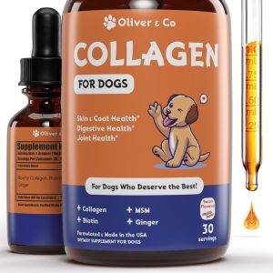 Bacon Dog Collagen 1 fl oz