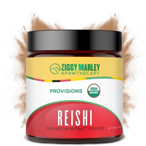 Reishi Mushroom Powder Dogs 90 Grams