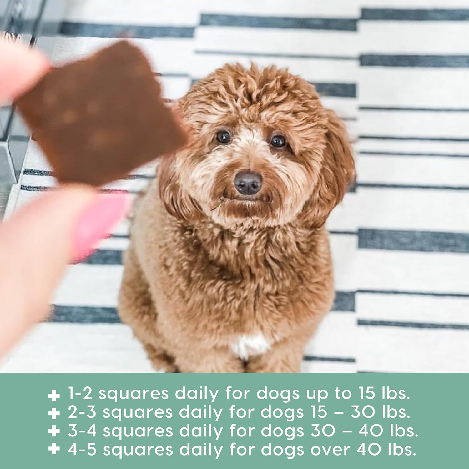 Lamb Dog Treats - Image 5