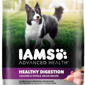 Real Chicken Dry Dog Food
