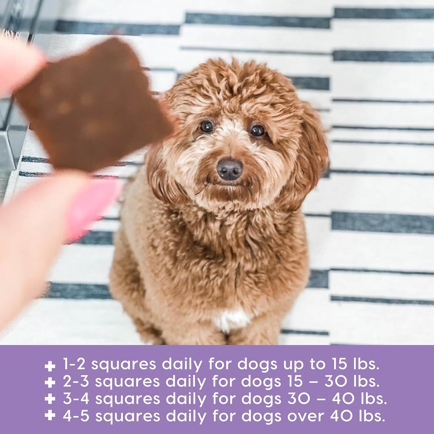 Venison Dog Treats - Image 5