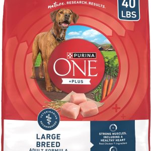 Real Protein Rich Dog Food Dry