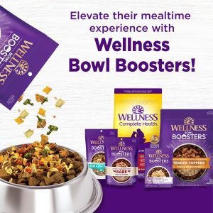 Dry Dog Food, Wholesome Grains
