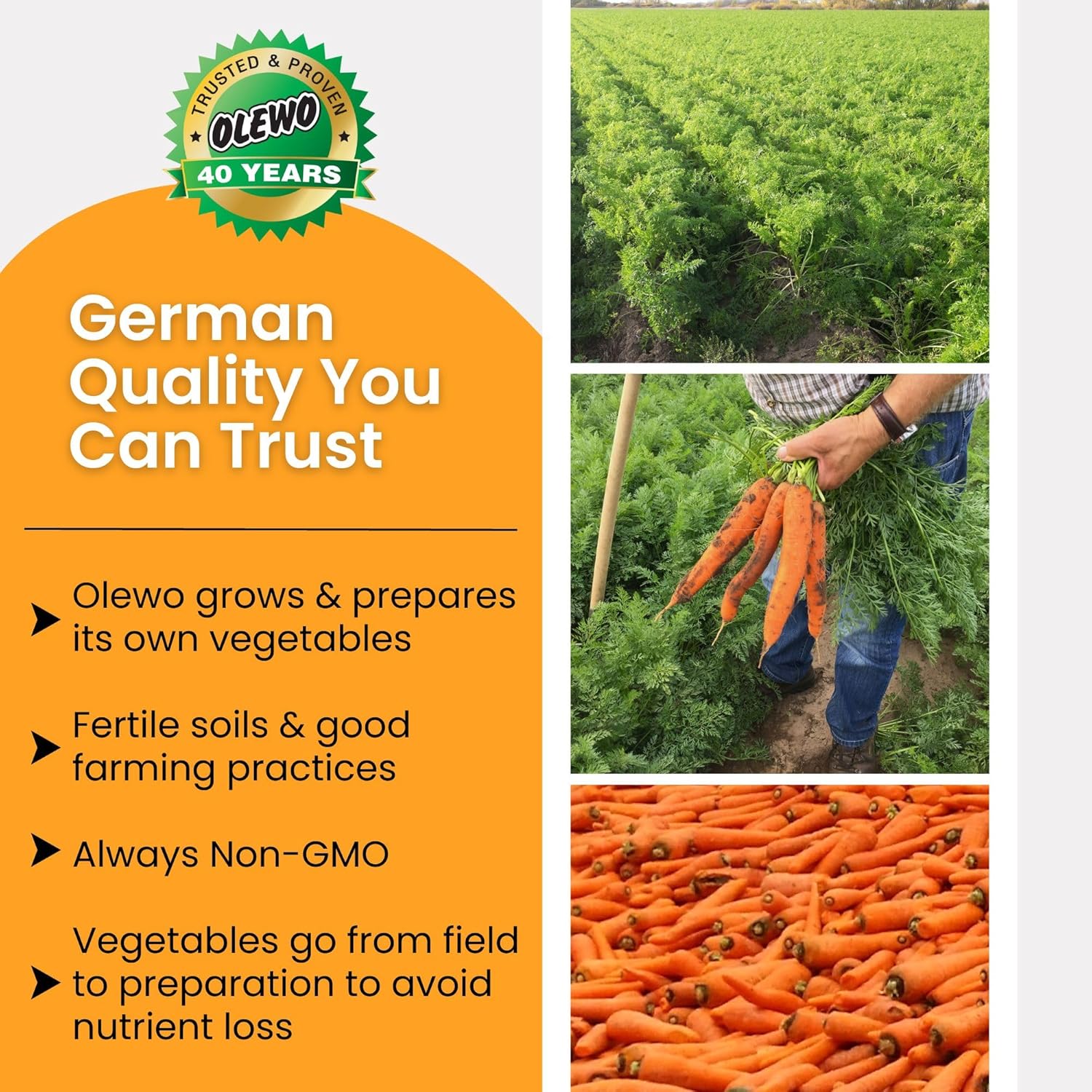 Carrots for Dogs Fiber for Perfect Poop Dehydrated Dog Food - Image 3