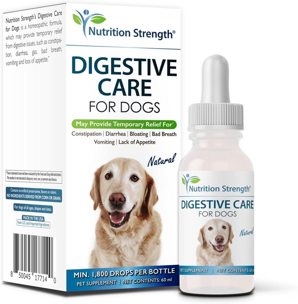 Dog Vomiting and Diarrhea