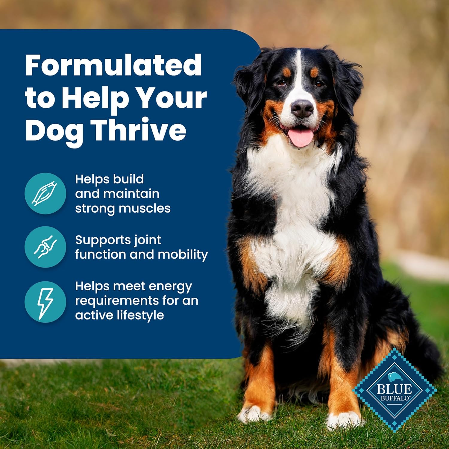 Fish & Brown Rice dry dog food - Image 5