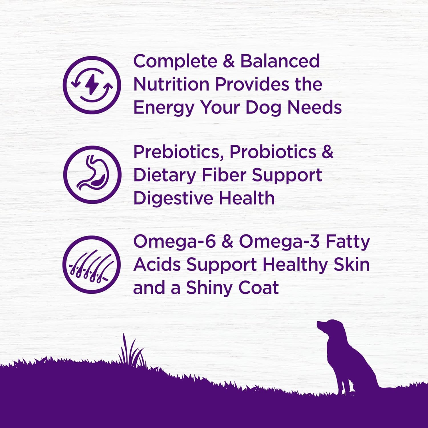 Whitefish & Sweet Potato Dry Dog Food - Image 4