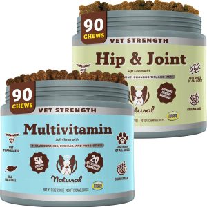 Senior Dog Health Bundle Chews 90 Ct