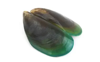 Green Lipped Mussel for Dogs