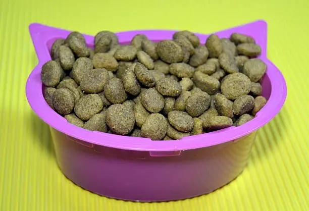Eukanuba Puppy Food